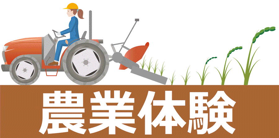 Magang Jepang - Bidang Pertanian
